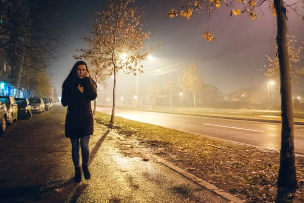 istock Alone in the fog 1137604354