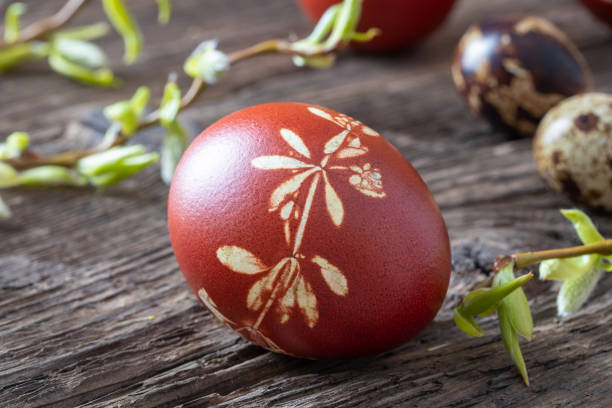 istock Easter egg dyed with onion peels with a pattern of herbs with fresh willow branches 1137605272