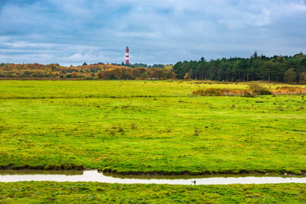 Lighthouse in Wittduen on the island Amrum, Germany Lighthouse in Wittduen on the island Amrum, Germany. amrum stock pictures, royalty-free photos & images
