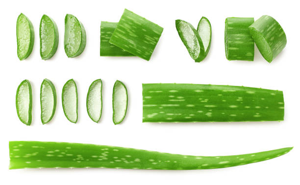 hoja de aloe vera cortada fresca - áloe fotografías e imágenes de stock