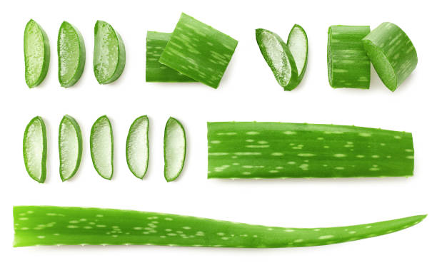Fresh sliced Aloe Vera leaf Fresh sliced Aloe Vera leaf isolated on white background, top view aloe vera gel stock pictures, royalty-free photos & images