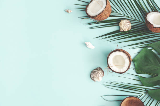 istock Summer composition. Coconut, palm leaves, sea shells on pastel blue background. Summer concept. Flat lay, top view, copy space 1137607362