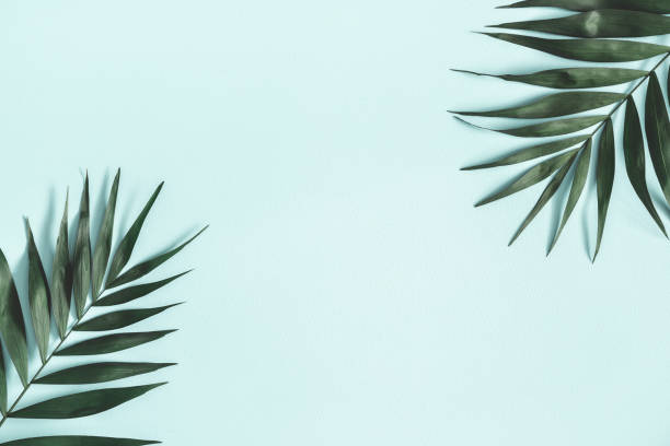 istock Summer composition. Tropical palm leaves on pastel blue background. Summer concept. Flat lay, top view, copy space 1137607372