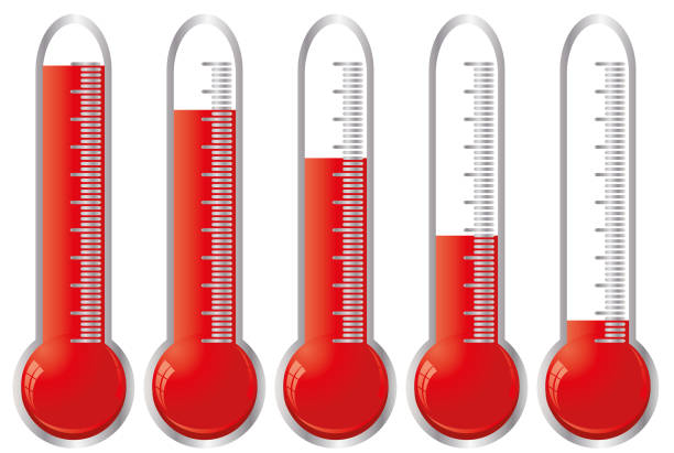 Set of thermometers vector art illustration