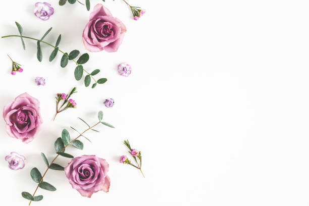 istock Flowers composition. Pattern made of eucalyptus branches and rose flowers on white background. Flat lay, top view, copy space 1137608399