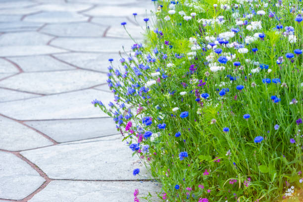 kwietniki i kamienne łupki - garden path lawn formal garden flower bed zdjęcia i obrazy z banku zdjęć