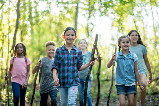 A group of kids are outdoors. They are hiking through a forest, and carrying walking sticks.