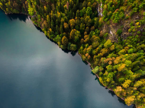 istock Aerial view of beautiful lake Ritsa 1137611367