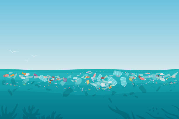 Plástico Basura Flota En El Mar De Dibujo Vectores Libres de Derechos - iStock Plástico Basura Flota En El Mar De Dibujo Vectores Libres de Derechos - iStock