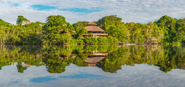 Amazon Rainforest Lodge Reflection Traditional architecture of an Amazon rainforest lodge in panoramic composition, Yasuni national park, Ecuador. The tributaries of the Amazon river comprise the countries of Suriname, Guyana, French Guyana, Venezuela, Colombia, Ecuador, Peru, Bolivia and Brazil. peruvian amazon stock pictures, royalty-free photos & images