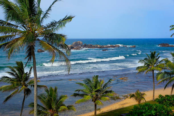 istock Tropical beach in Sri Lanka 1137613014