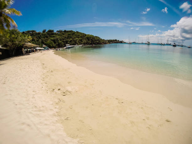 istock Paradise beach in the Caribbean Sea. 1137613776