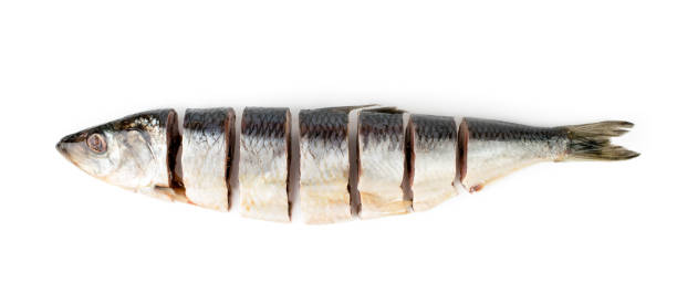 istock Herring cut into pieces on a white. The view from the top. 1137614581