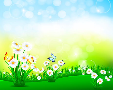 Nature Background Stock Illustration - Download Image Now - Flower, Grass,  Butterfly - Insect - iStock
