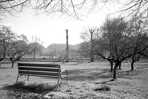 A park bench long the river Ciuffenna in Tuscany in wintertime