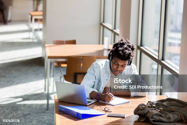 Teenage Boy Studies In School Library Stock Photo - Download Image Now - Student, Teenager, Learning