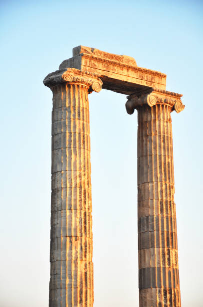 archaelogical didyma ancient column, didim, turkey - ancient rome ancient past architecture imagens e fotografias de stock