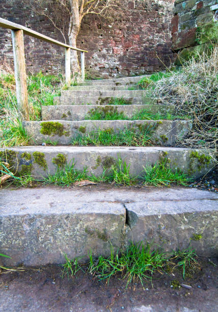 istock Grass and moss on public stairs in England 1137621630