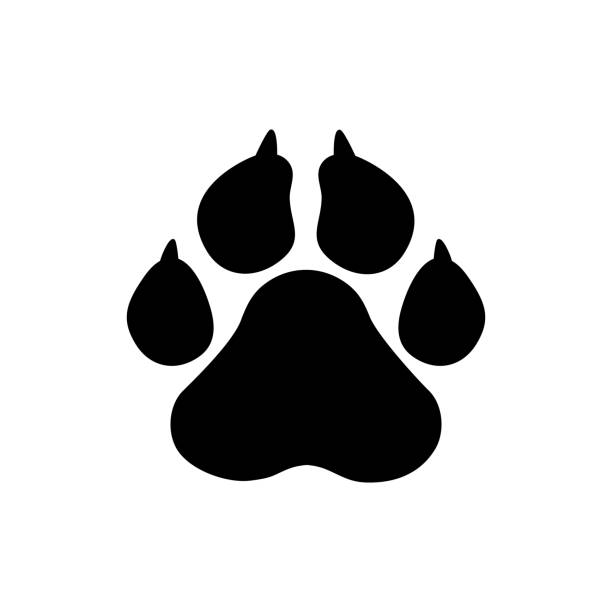 haustiere-symbol, vektor pfote druck - tier-illustration, haustier-symbol - isolated dog animal puppy stock-grafiken, -clipart, -cartoons und -symbole