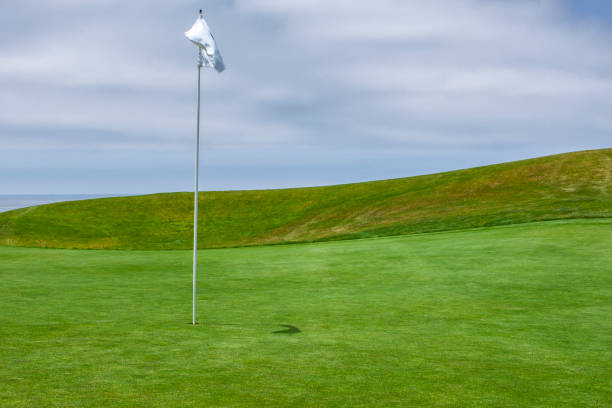 istock Putting Green with Ocean and Cloudy Sky in Background 1137623026