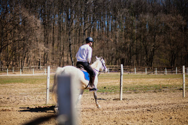 istock Young man is enjoying horseback riding in nature 1137625272