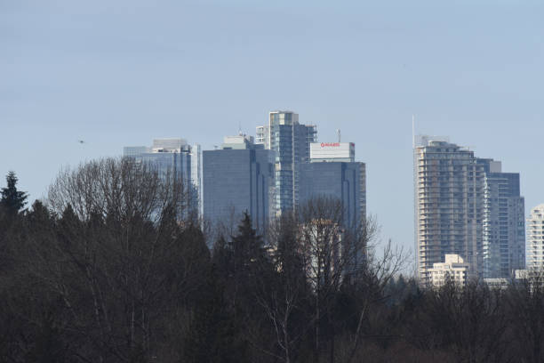 istock Modern city in the background 1137625637