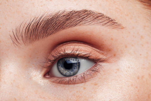istock Beautiful woman. Close-up. Soft make-up. 1137626297
