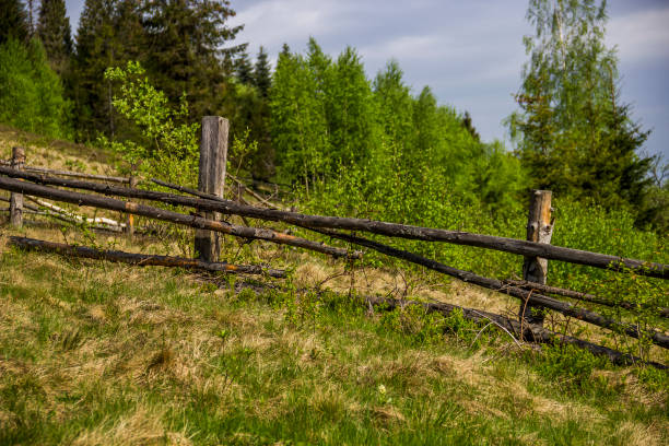 istock old wooden fence 1137627655