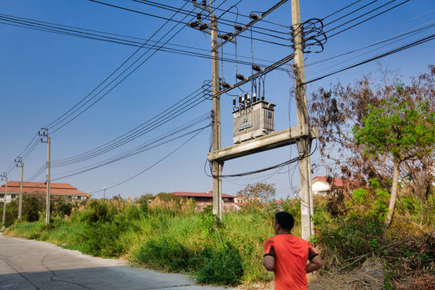 Power-lines by trees. Dangerous condition for wildfires