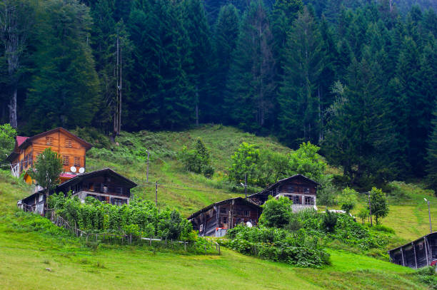 istock Ayder Plateau, Camlihemsin, Rize/Turkey 1137630326