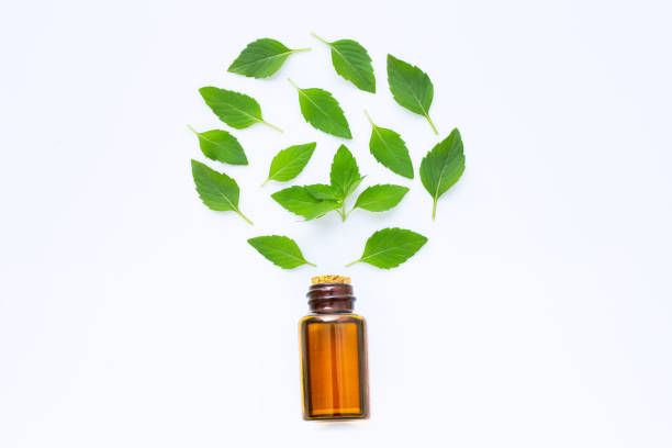 istock Essential oil with fresh mint leaves on white. 1137631446