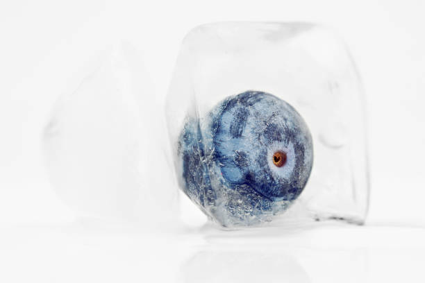 흰색 바탕에 얼음 큐브 블루 베리 - blue blueberry cold food descriptive color 뉴스 사진 이미지