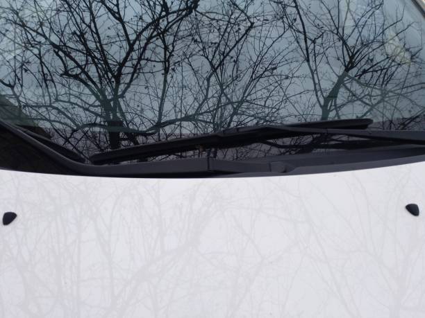 istock Reflections on the hood of a white car 1137635495