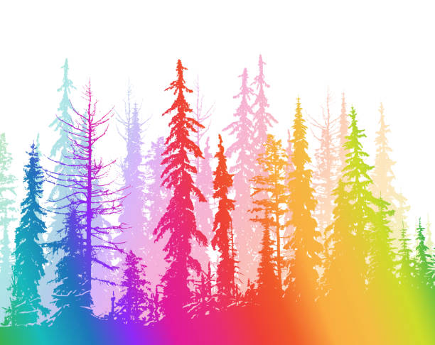 Dry Forest Range Rainbow Treeline made of Canadian spruce trees silhouette evergreen tree back lit pink stock illustrations