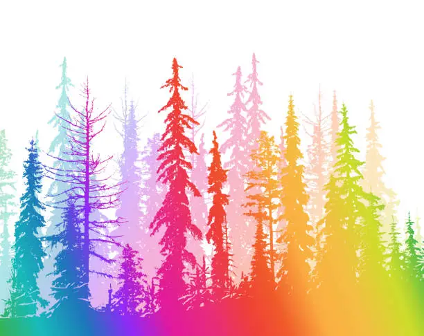 Vector illustration of Dry Forest Range Rainbow