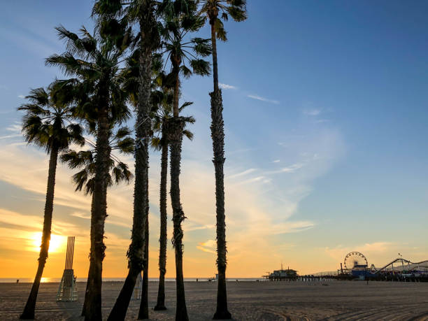 istock Sunset over Pacific Ocean in Los Angeles, CA 1137636505