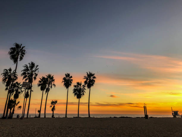 istock Sunset over Pacific Ocean in Los Angeles, CA 1137636547