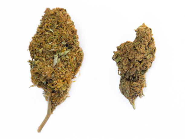 weed for sale