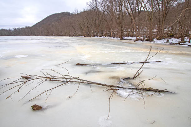 Frozen Water in a River Bayou