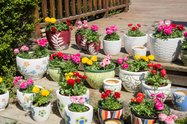 istock Flower pots in the garden 1137639195
