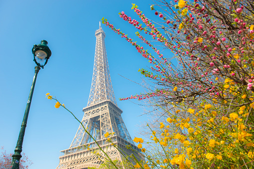 The first day of spring season in Paris