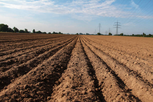 新鮮な耕作地 - plowed field dirt agriculture field ストックフォトと画像