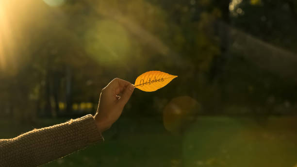 istock October written on golden autumn leaf, hand holding writings, bright fall season 1137647343