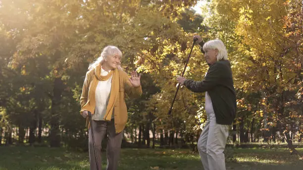 Cheerful female friends with walking sticks fooling around in autumn park