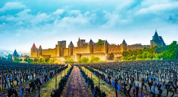 Photo of View of the medieval city of Carcassonne from a vineyard, France