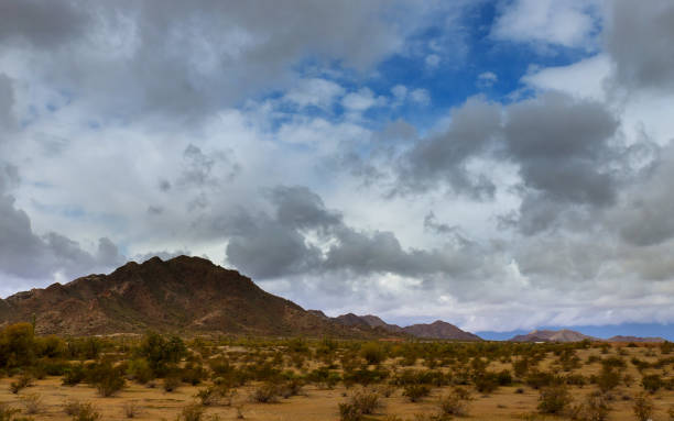 istock cloudy desert landscape cactus on the mountain 1137648870
