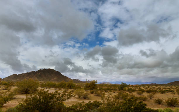 istock Desert landscape in Phoenix, Arizona cactus on the mountain 1137648874