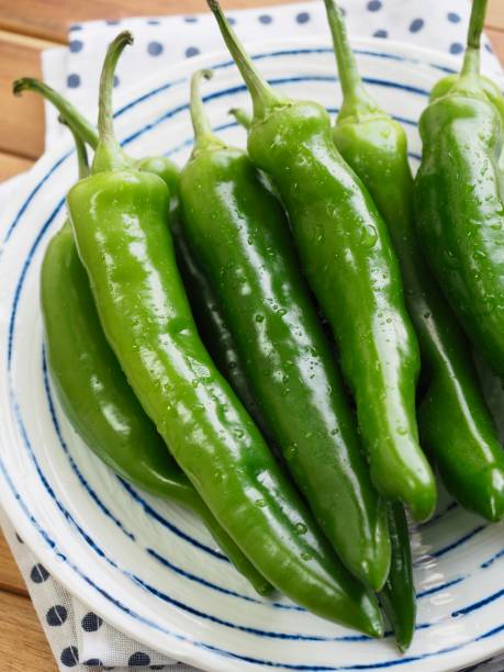 istock Korean vegetables Green pepper 1137654185