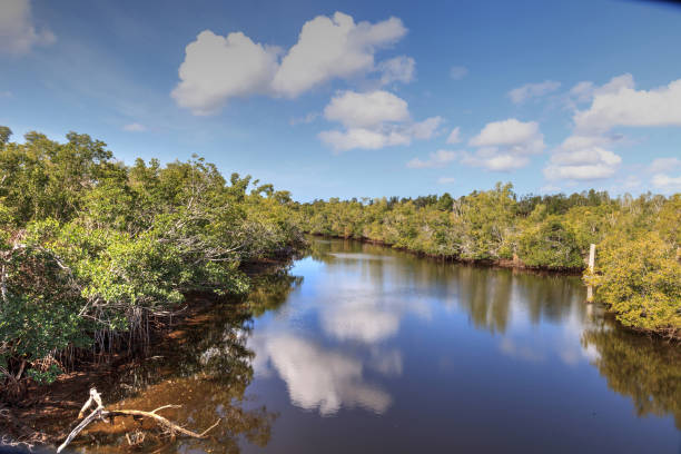 istock Blue sky and clouds over Henderson Creek 1137654377