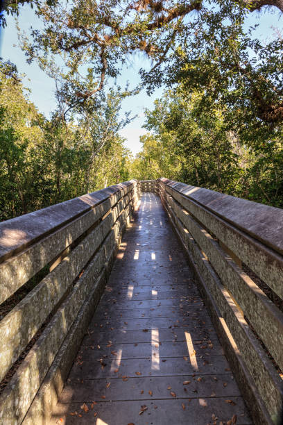 istock Blue sky and clouds over a bridge that crosses Henderson Creek 1137654396